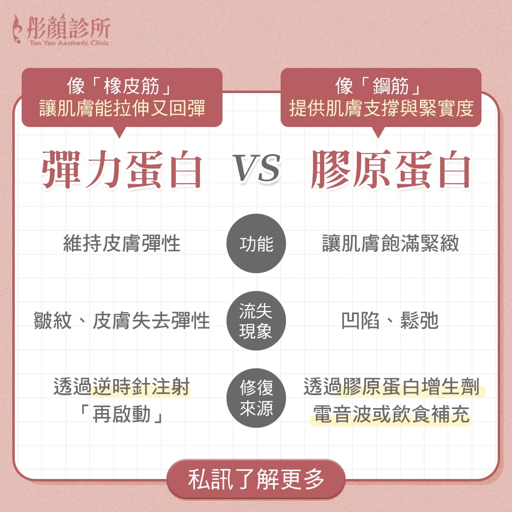 超級煥顏術-彈力蛋白vs膠原蛋白